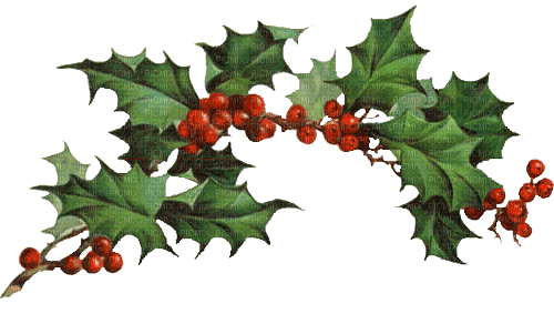 Christmas.Branch.Noël.Mistletoe.Victoriabea - PNG gratuit