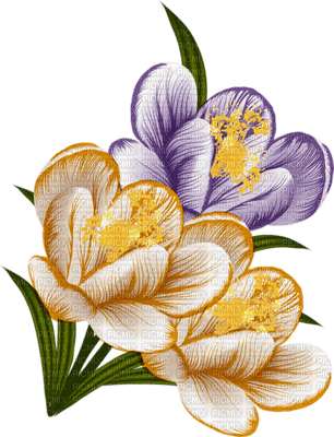 Kaz_Creations Deco Flowers Flower Purple Yellow - PNG gratuit