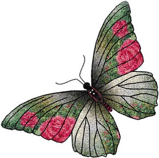 borboleta - Animovaný GIF zadarmo