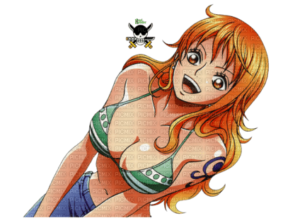 Nami "2 ans plus tard" One Piece - ücretsiz png