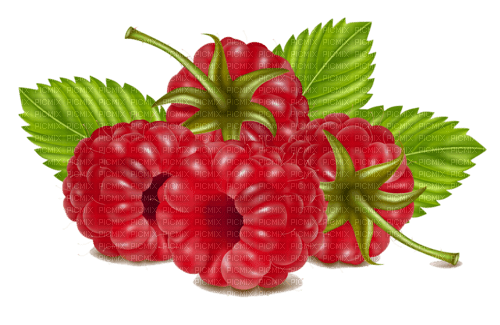 Rasberries - 無料png