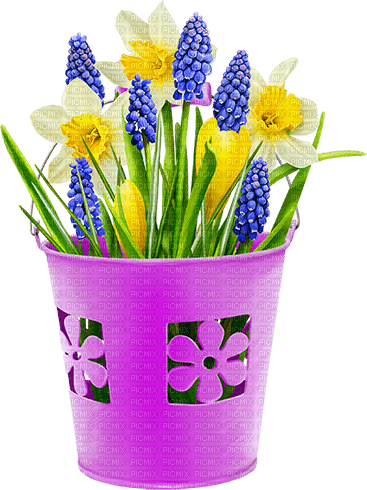 Flowers.Daffodils.Purple.White.Yellow - Free PNG