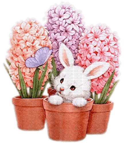 Bunny and flowers - Free PNG