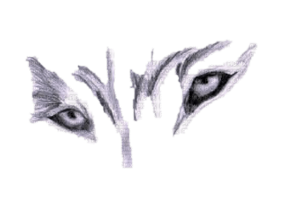 wolf eyes - png gratis