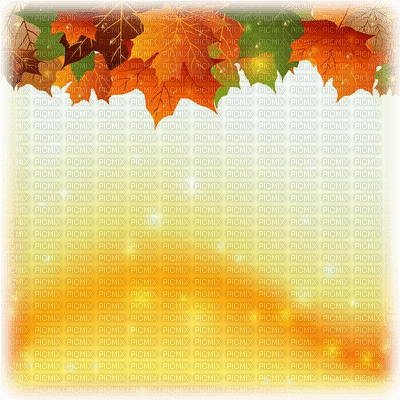autumn background - darmowe png