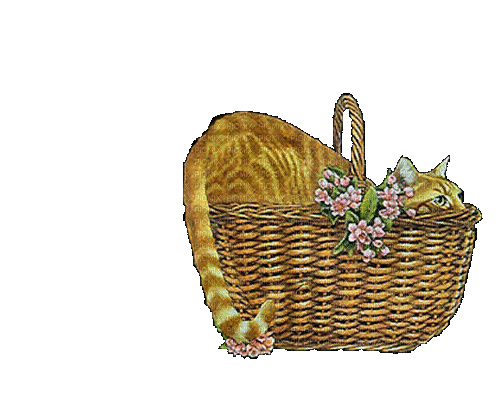 Katze im Korb - GIF animado grátis