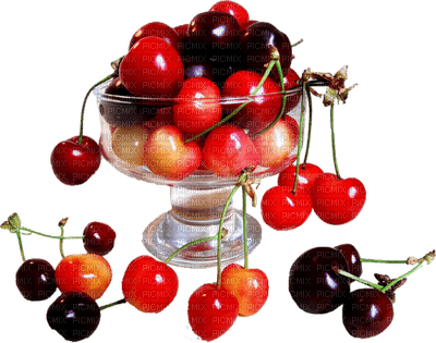 fruit cherries bp - bezmaksas png