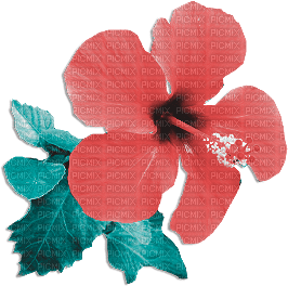 soave deco summer tropical flowers pink teal - Free PNG