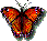 butterfly - Безплатен анимиран GIF