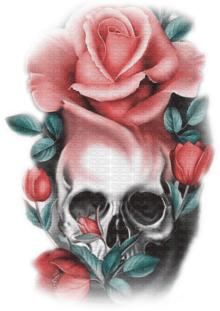 soave deco gothic skull flowers rose pink teal - 免费PNG