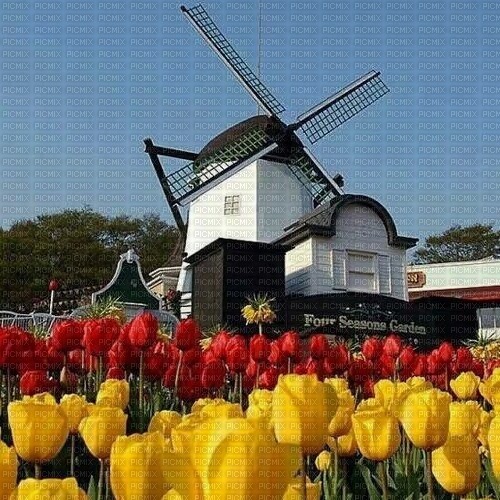 Holland, Frühling - png grátis