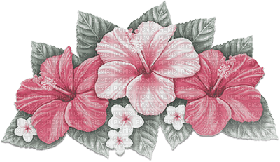 soave deco summer flowers tropical pink green - бесплатно png