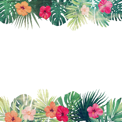 Summer frame tropical flowers animated - Free animated GIF
