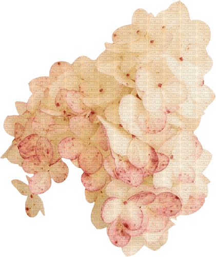 blommor-rosa----flowers-pink - zadarmo png