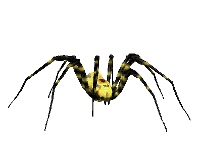 Spider bp - Gratis animeret GIF