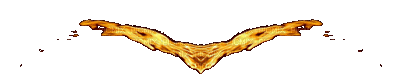 wing -fire - Nitsa P - Bezmaksas animēts GIF