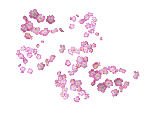 ✶ Flowers {by Merishy} ✶ - PNG gratuit