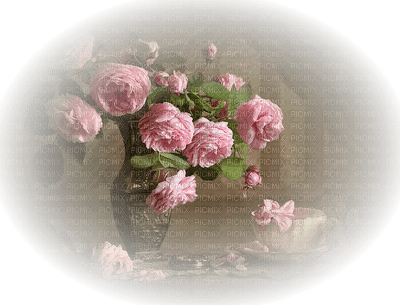 Flowers pink rose bp - zdarma png