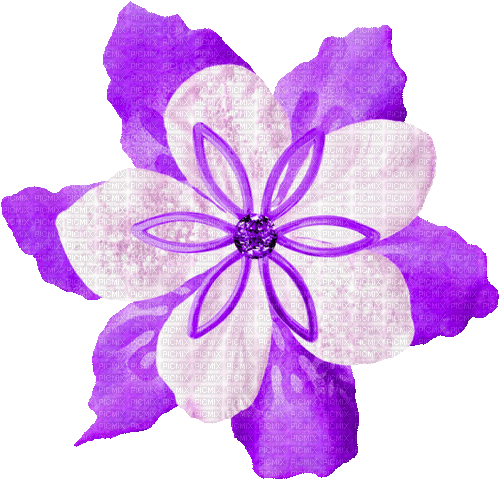 Christmas.Flower.White.Purple - KittyKatLuv65 - GIF animasi gratis
