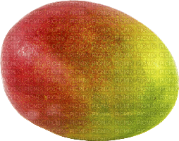 fruit-mango - 無料png