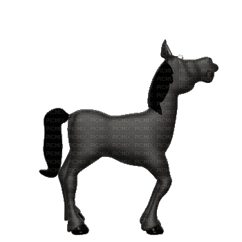 cheval noire - GIF animado gratis
