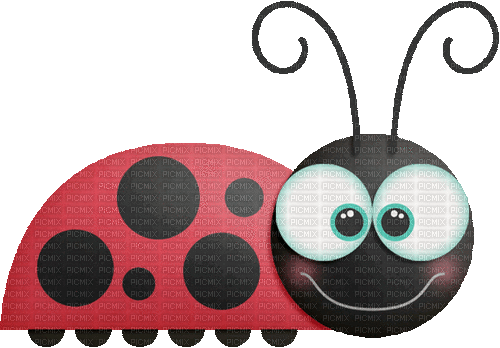 ladybug marienkäfer insect - GIF animado grátis