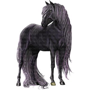 Cabala Horse - PNG gratuit