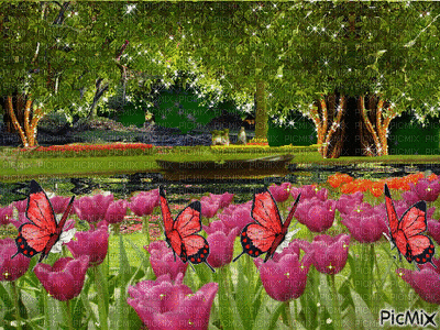 Tulipani - Zdarma animovaný GIF