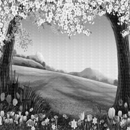 Y.A.M._Fantasy tales background black-white - 無料png