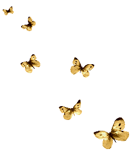 Schmetterlinge/Butterflys - GIF animado gratis