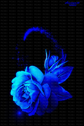 MMarcia gif flores fleurs  blue - Gratis animeret GIF
