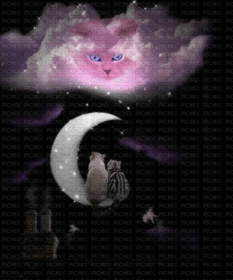 CATS IN THE MOON GIF - 無料のアニメーション GIF
