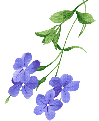 blommor-blå--flowers--blue - bezmaksas png