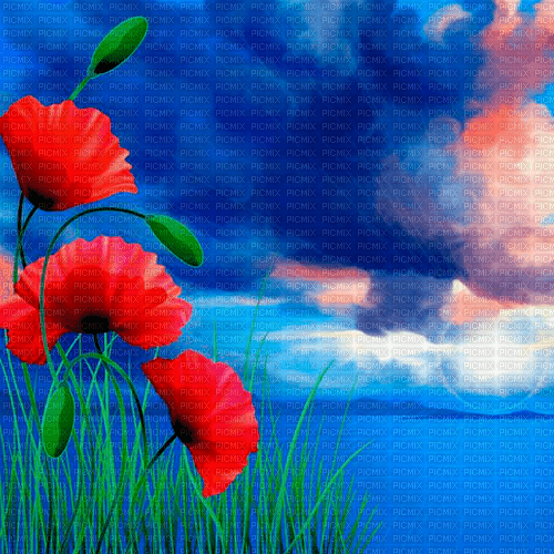 summer background by nataliplus - png grátis