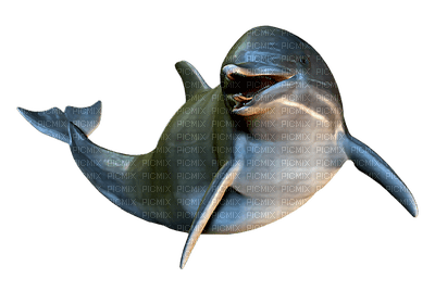 Kaz_Creations Dolphins Dolphin - png gratuito