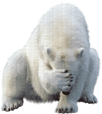 ours polaire - bezmaksas png