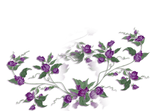 blommor-lila----flowers-purple - kostenlos png