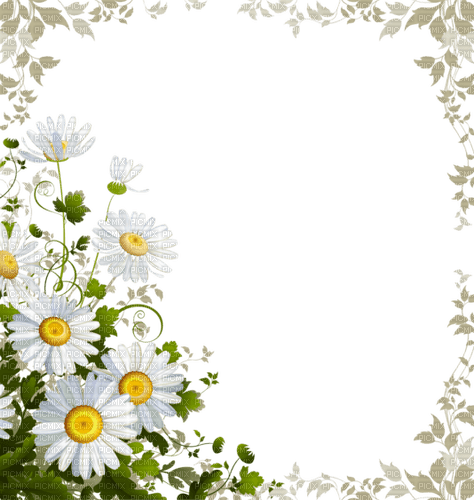 loly33 frame marguerite - Free PNG