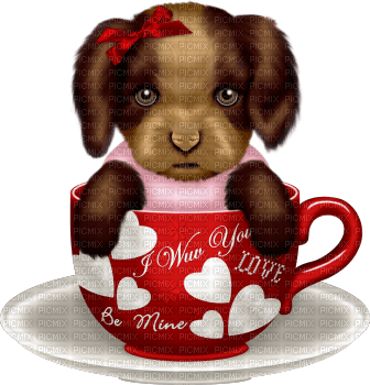 dolceluna dog red cup - PNG gratuit
