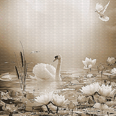 soave background animated  flowers water sepia - Gratis animeret GIF