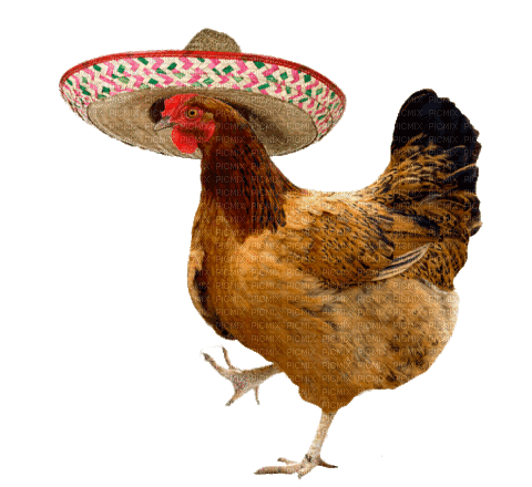 Mexican rooster - GIF animasi gratis