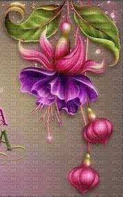 MMarcia fundo flores - Free PNG
