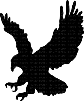 Kaz_Creations Eagle Bird Silhouettes Silhouette - zdarma png