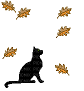 sipike - Darmowy animowany GIF