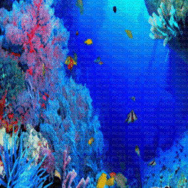 underwater bg gif fond sous-marin - Nemokamas animacinis gif