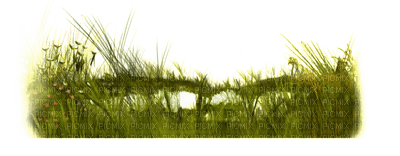 Kaz_Creations Deco Grass - besplatni png
