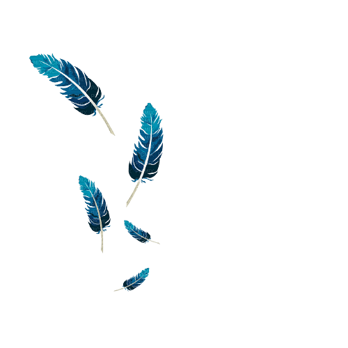 blue feathers - PNG gratuit