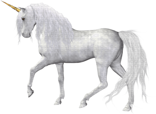 unicorn by nataliplus - png gratuito