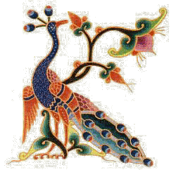 Peacock bp - Бесплатный анимированный гифка