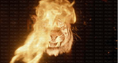 tigre by EstrellaCristal - Безплатен анимиран GIF